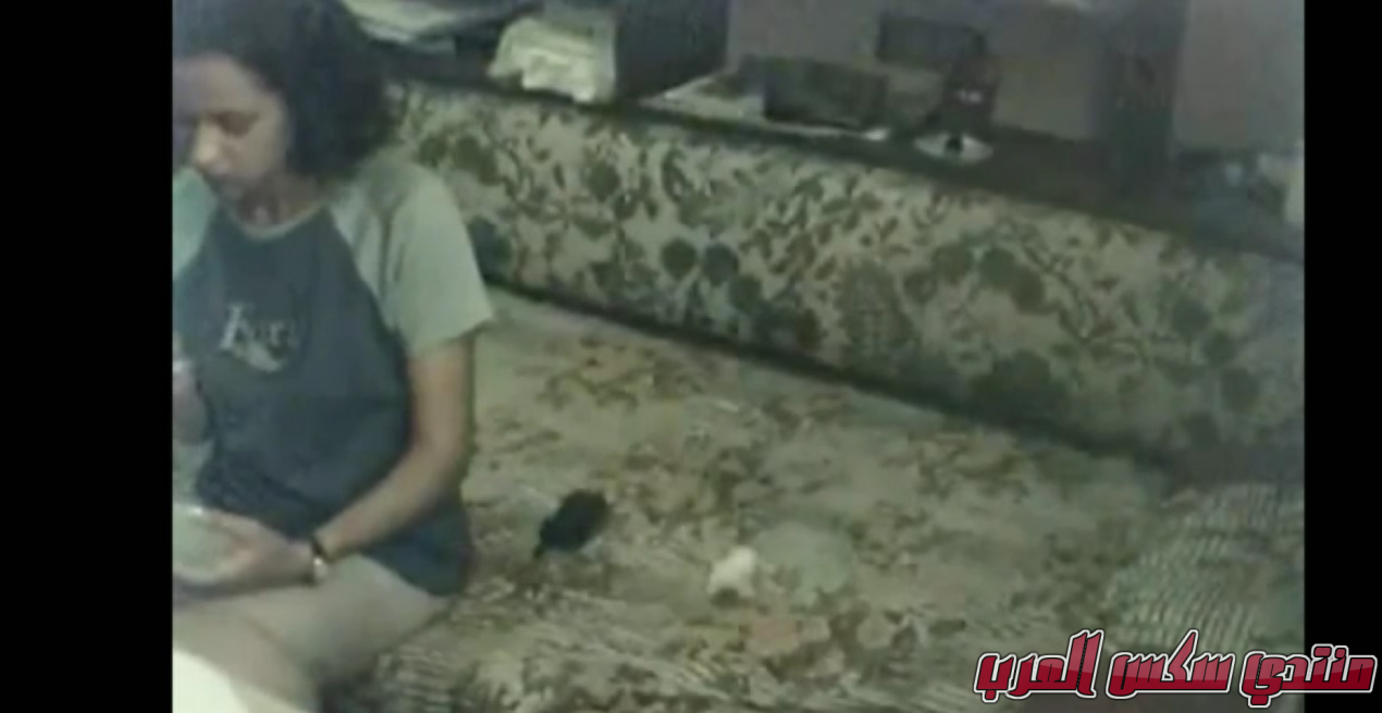   23 12 2023 12378 doodstreamcom