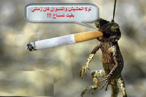 179479 386901148085355 1431239050 n