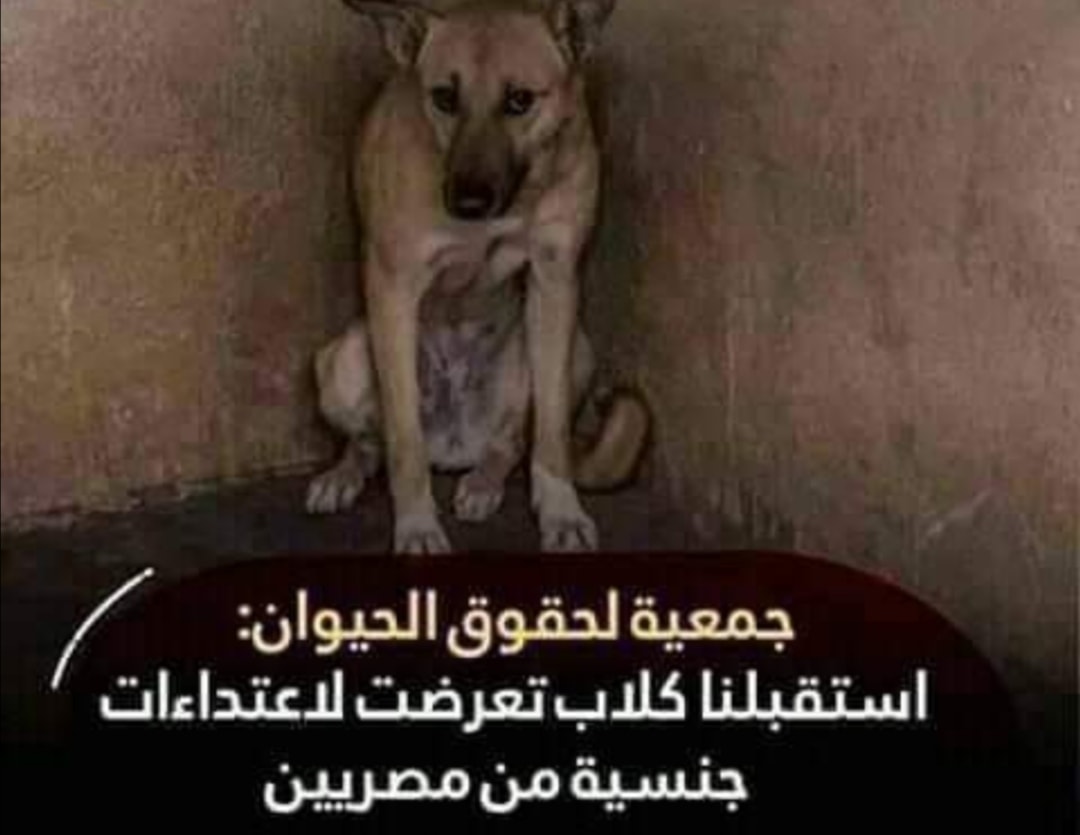 245637853 329149575686982 2998817988364974002 n