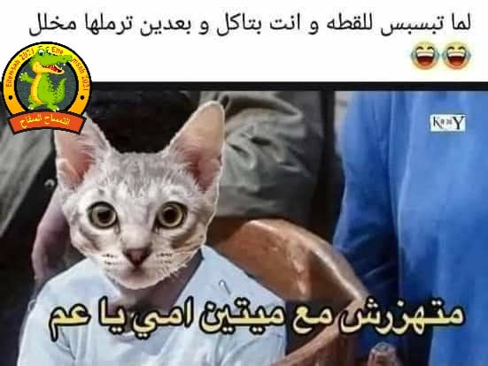 269616613 277881021059978 5831826485087276271 n