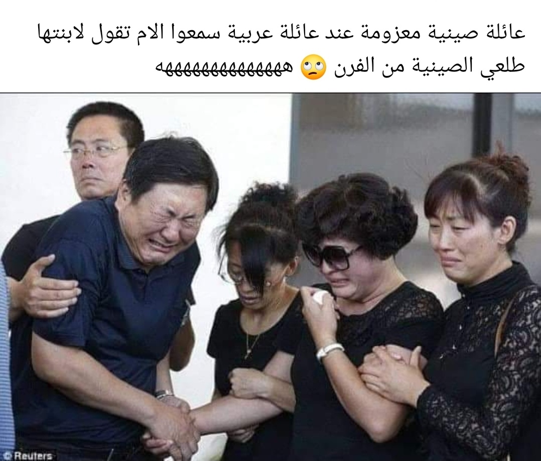 271805180 488596296172127 5363440384569133966 n