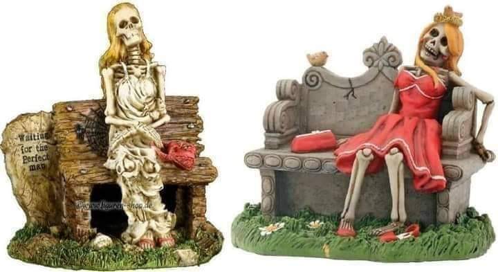 272878947 144826954600017 3400406963113331951 n