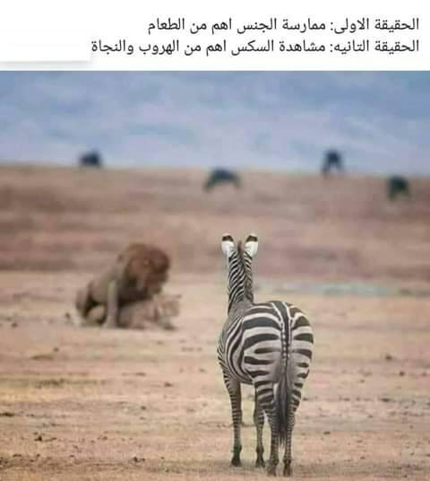 274373586 935339153813172 4340626905155325001 n