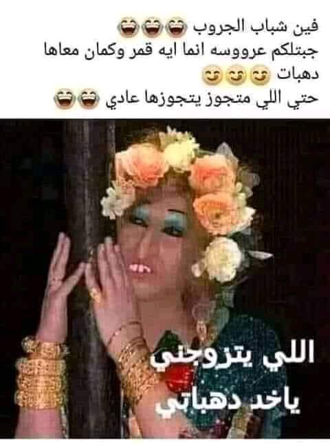 274758224 1164021387757801 454184265082396484 n