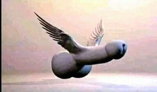 FB IMG 1633626839691