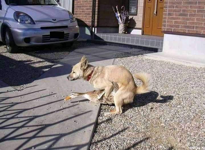 FB IMG 1647704943730