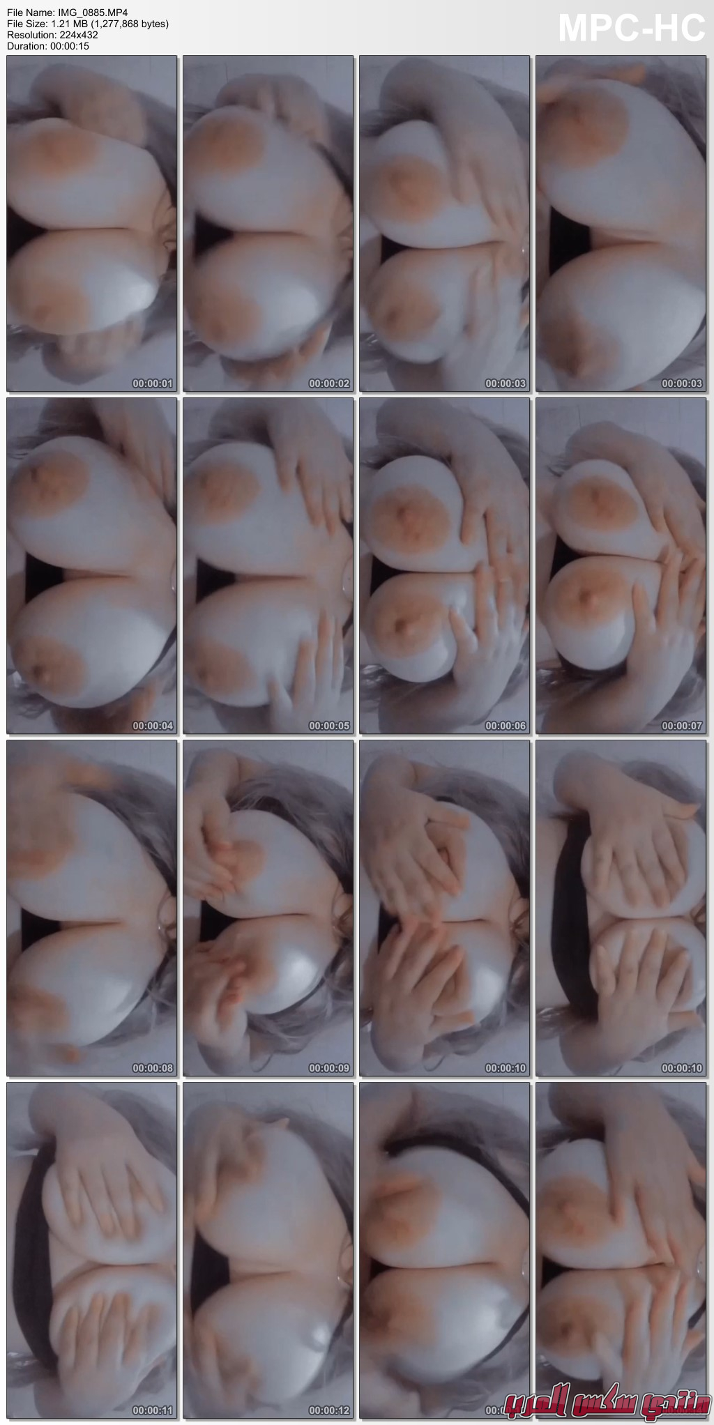 IMG 0885MP4 thumbs 20231127 123122