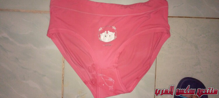 IMG 20231111 150330 182 l