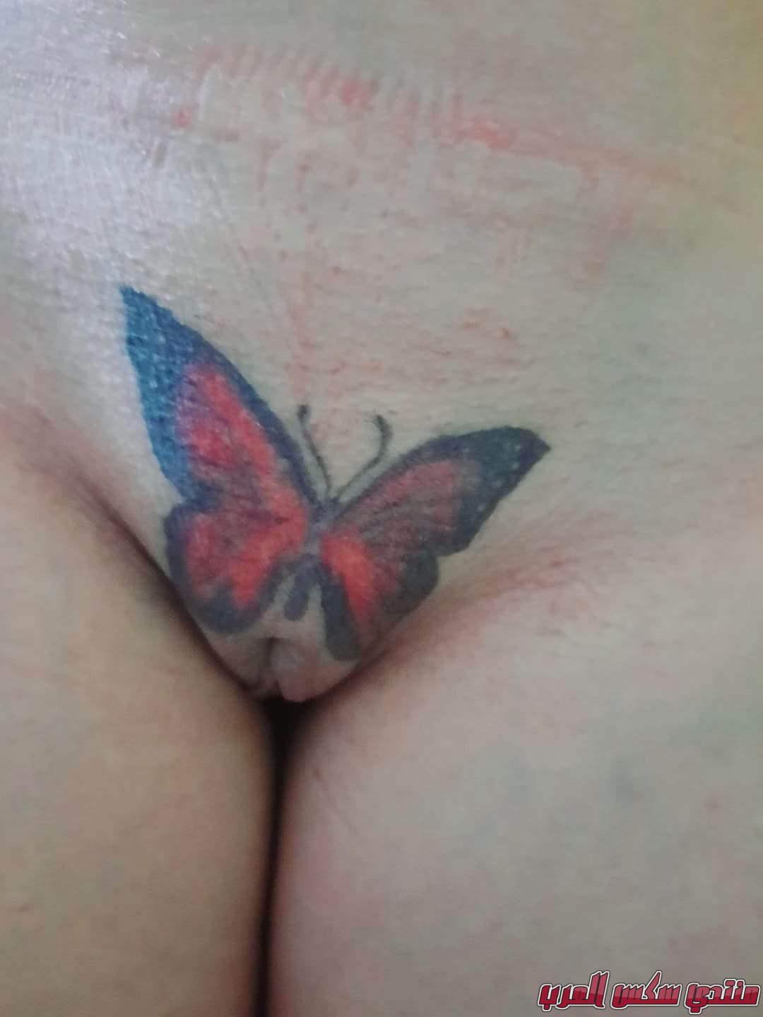 Received 994348484882329