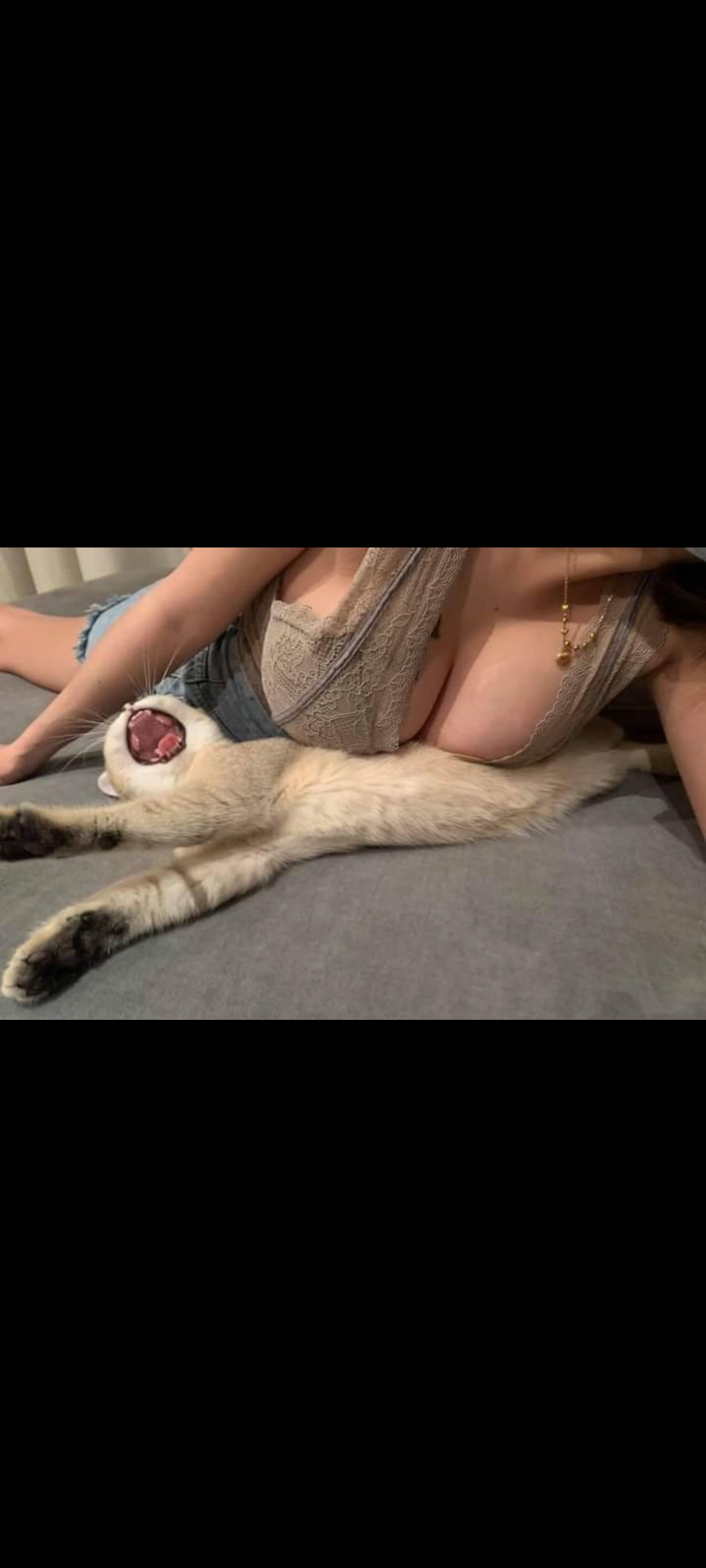 Screenshot 2022 03 22 20 41 53 516 commiuigallery