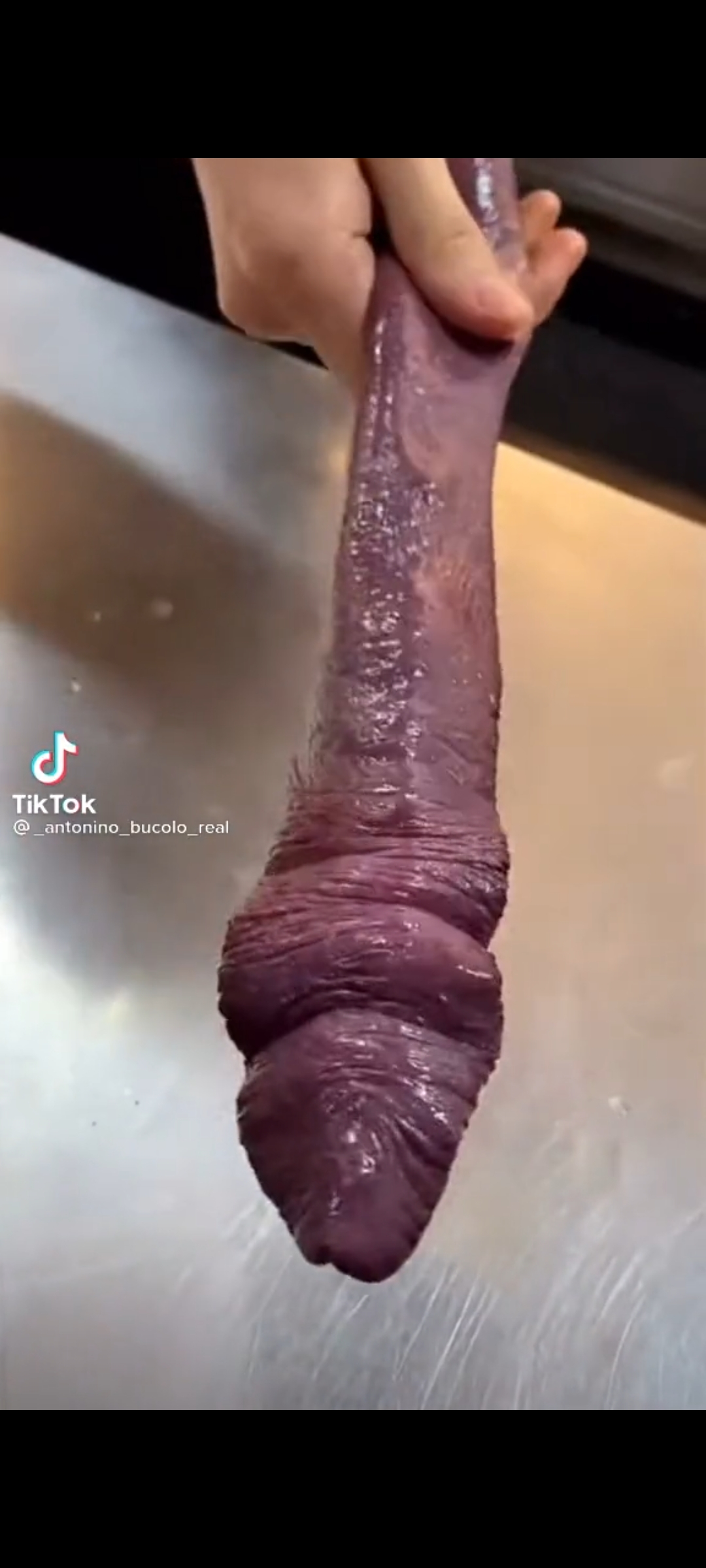 Screenshot 2022 03 22 21 34 53 882 commiuigallery