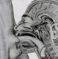 adem miboun tounsi.jpg