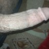 فحلك فارس