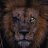 lion 🦁